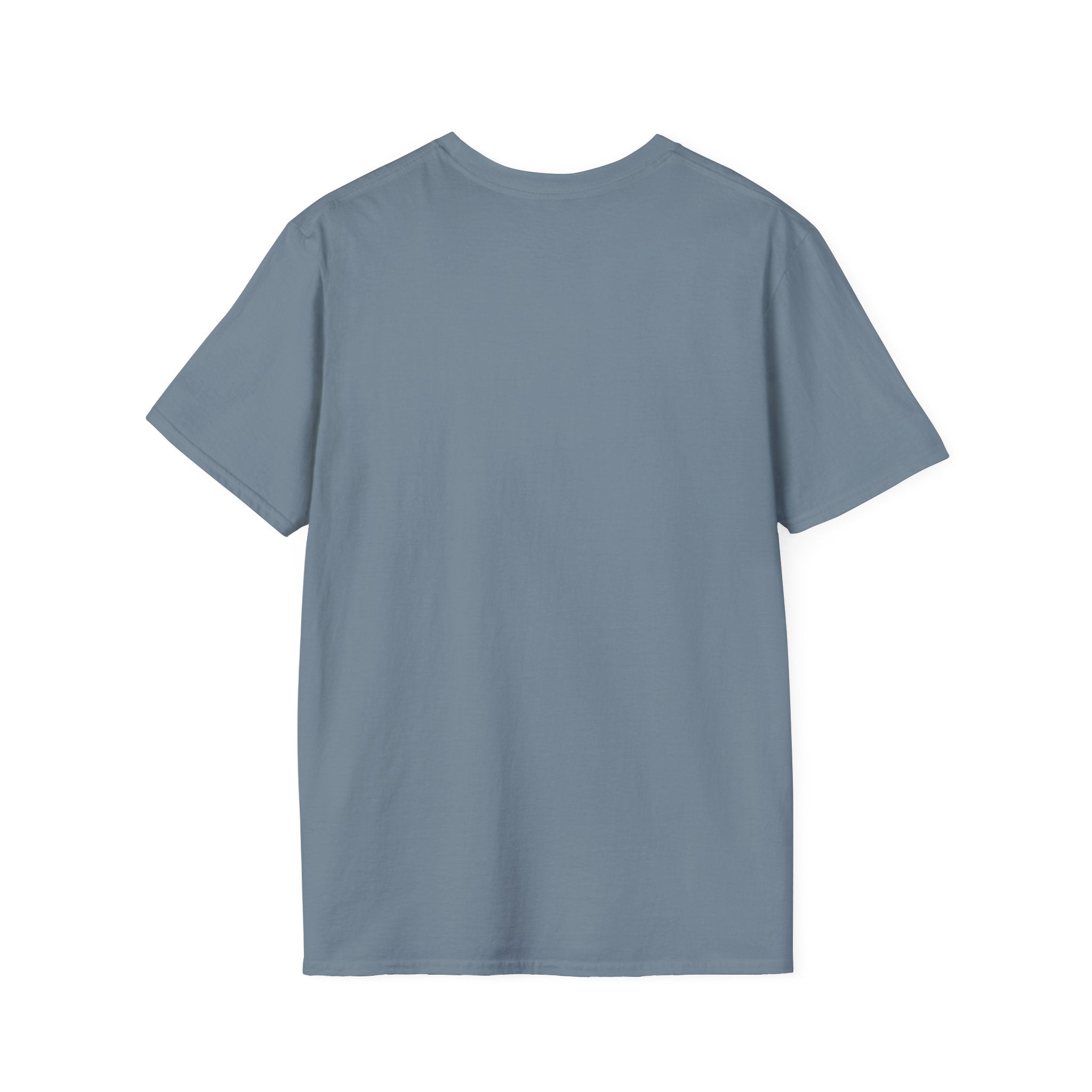 Stars & Stripes Unisex Softstyle Tee – 4th of July