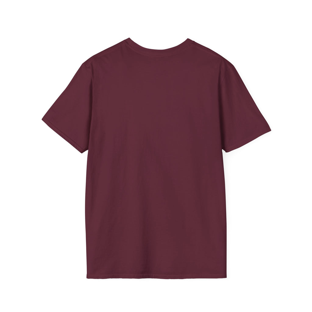 Stars & Stripes Unisex Softstyle Tee – 4th of July