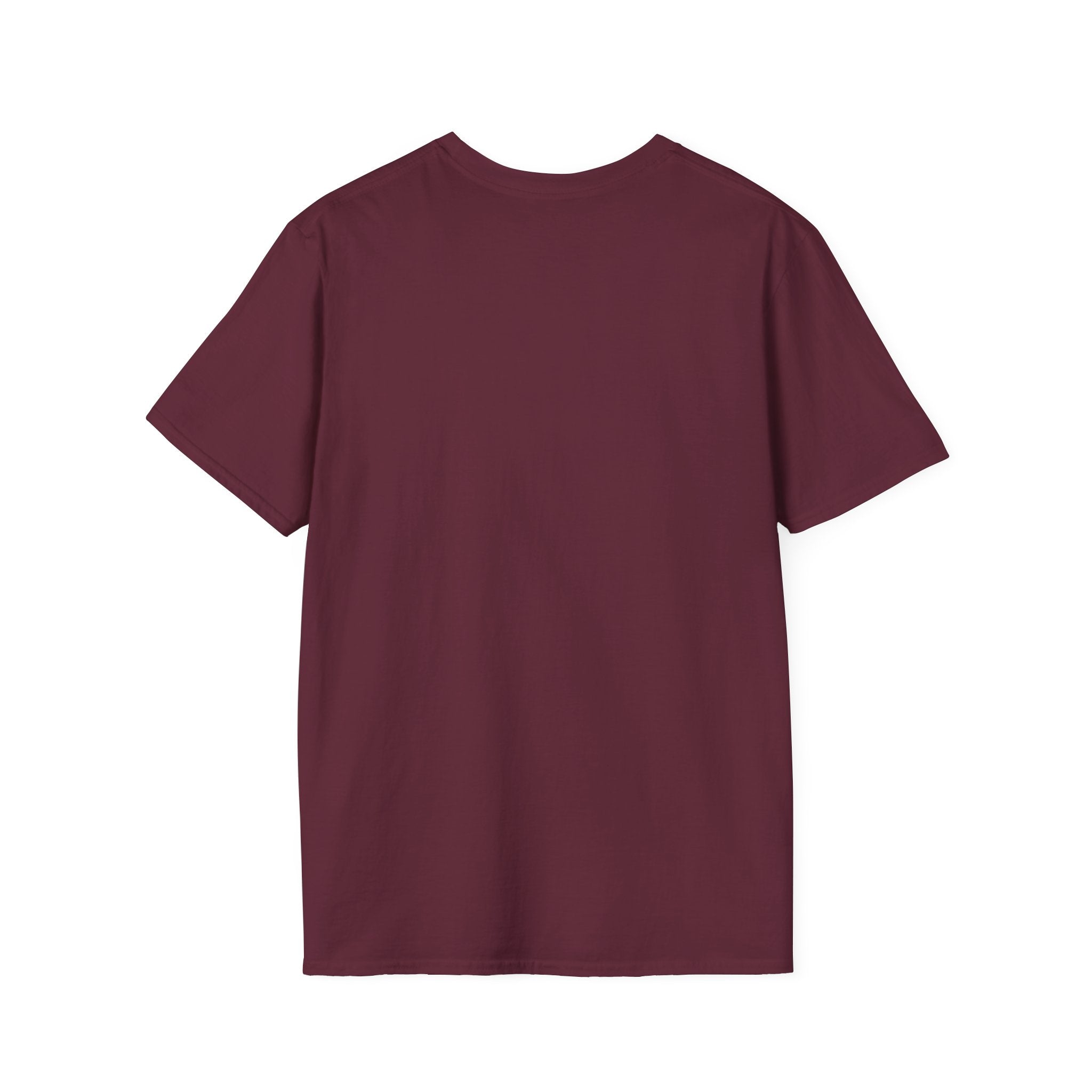 Stars & Stripes Unisex Softstyle Tee – 4th of July