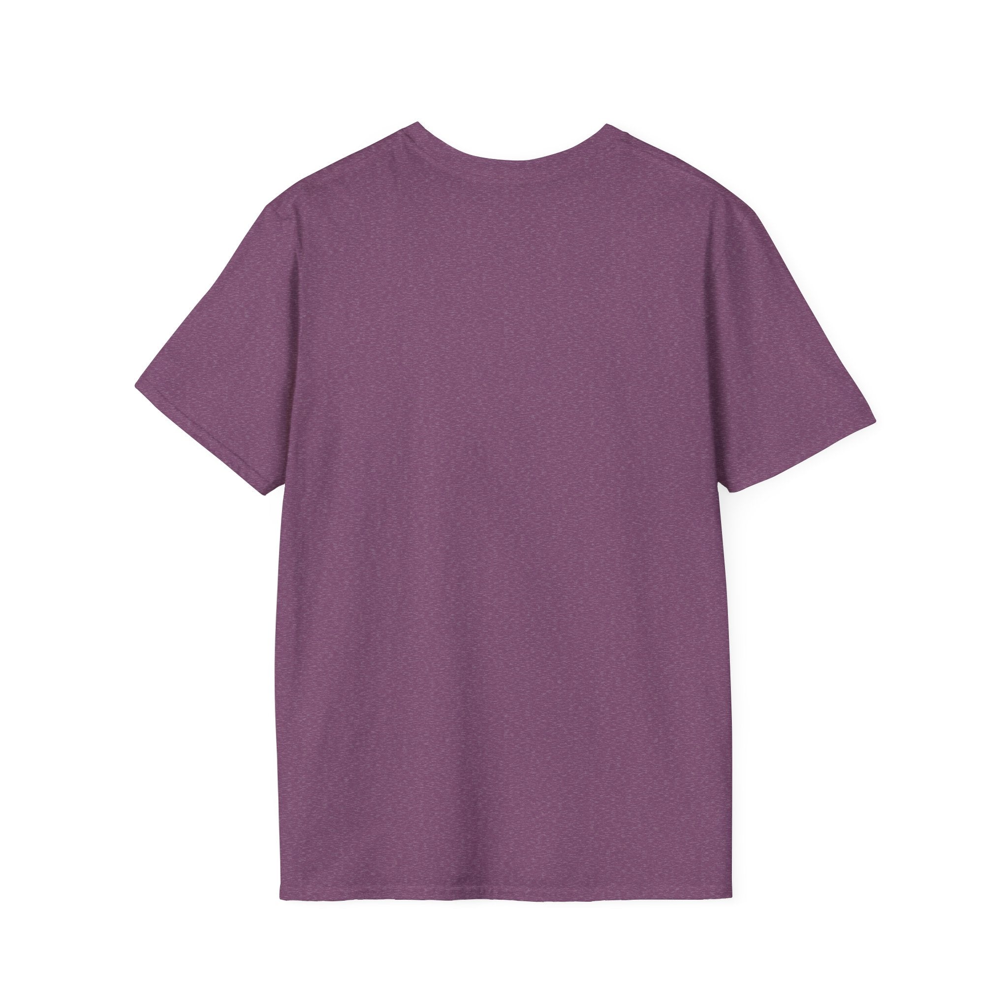 Stars & Stripes Unisex Softstyle Tee – 4th of July