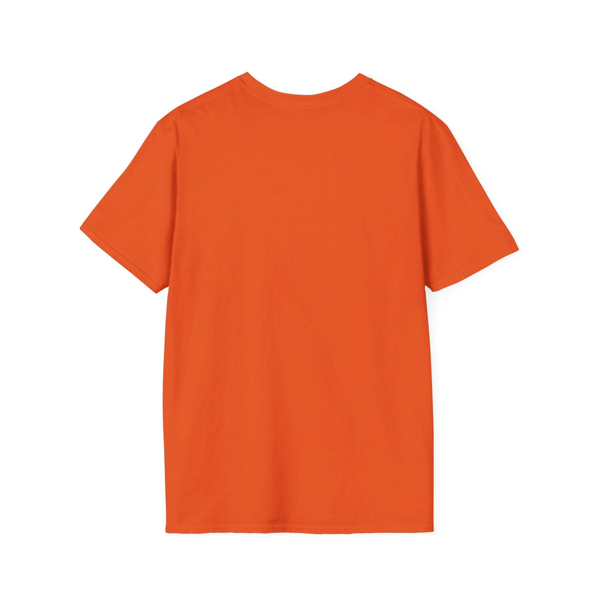 Stars & Stripes Unisex Softstyle Tee – 4th of July