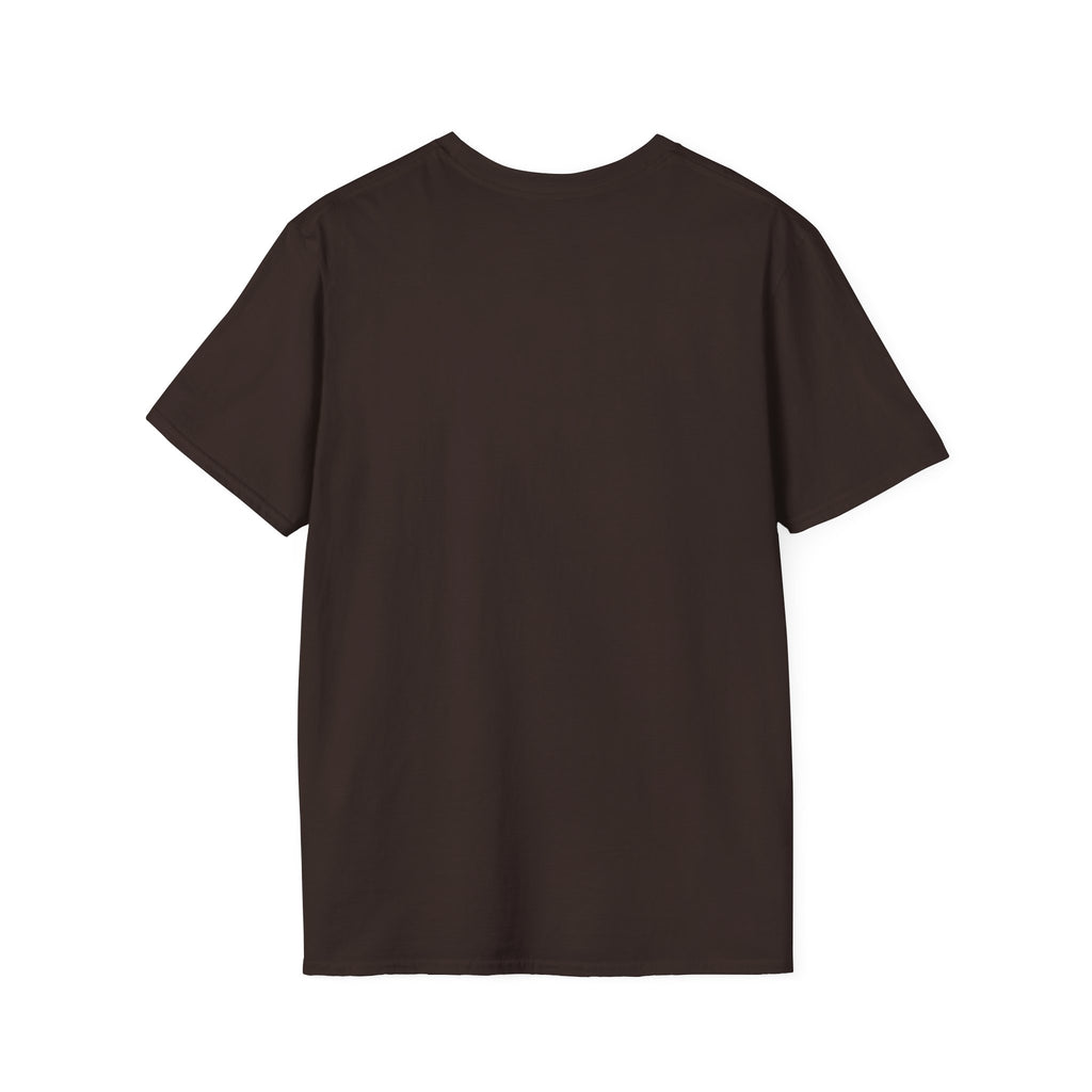 Stars & Stripes Unisex Softstyle Tee – 4th of July